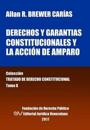 Derechos y garantías constitucionales y la acción de amparo. Tomo X. Colección Tratado de Derecho Constitucional