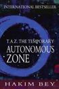 T.A.Z.: The Temporary Autonomous Zone