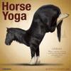 Horse Yoga 2018 Wall Calendar