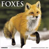 Foxes 2018 Calendar