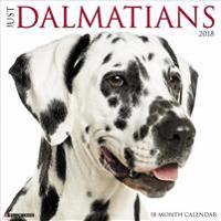 Just Dalmatians 2018 Calendar