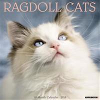 Ragdoll Cats 2018 Calendar