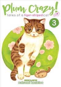 Plum Crazy! Tales of a Tiger-Striped Cat Vol. 3