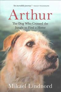 Arthur: The Dog Who Crossed the Jungle to Find a Home