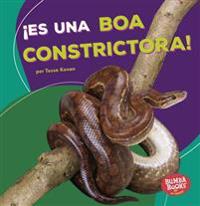 Es Una Boa Constrictora! (It's a Boa Constrictor!)