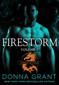 Firestorm: Volume 3