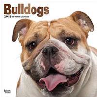 Bulldogs 2018 Wall Calendar