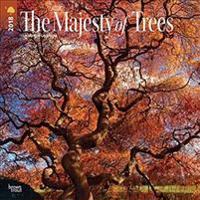 2018 Majesty of Trees, the Wall Calendar