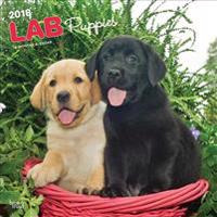 2018 Labrador Retriever Puppies Wall Calendar