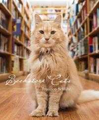 Bookstore Cats
