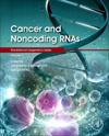 Cancer and Noncoding RNAs