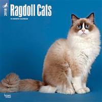 Ragdoll Cats 2018 Wall Calendar