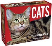 Cats 2018 Mini Day-To-Day Calendar