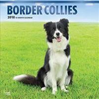 Border Collies 2018 Calendar