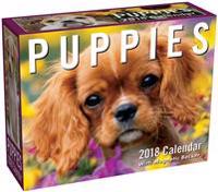 Puppies 2018 Mini Day-To-Day Calendar