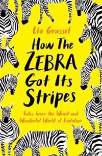 How the zebra got its stripes - tales from the weird and wonderful world of