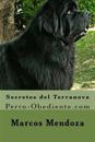 Secretos del Terranova: Perro-Obediente.com
