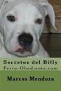 Secretos del Billy: Perro-Obediente.com