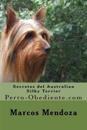 Secretos del Australian Silky Terrier: Perro-Obediente.com