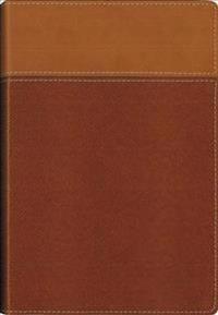 NIV, Thinline Bible, Imitation Leather, Tan, Red Letter Edition