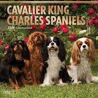 2018 Cavalier King Charles Spaniels Wall Calendar