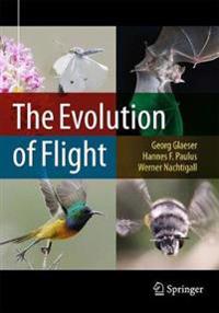 The Evolution of the Flight