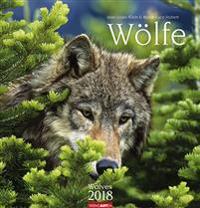 Wölfe - Kalender 2018
