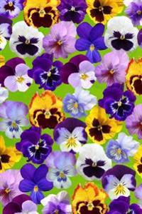 Vintage Bright Pansy Illustration Flower Journal: 150 Page Lined Notebook/Diary