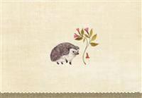 Hedgehog Note Cards (Stationery, Boxed Cards)