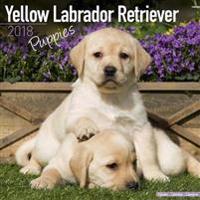 Yellow Labrador Retriever Puppies Calendar 2018