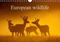 European Wildlife 2018