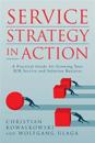 Service Strategy in Action: A Practical Guide for Growing Your B2B Service and Solution Business