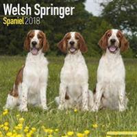 Welsh Springer Spaniel Calendar 2018