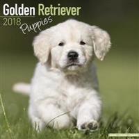 Golden Retriever Puppies Calendar 2018