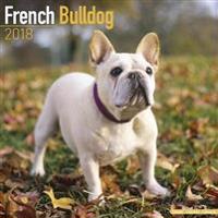 French bulldog calendar 2018