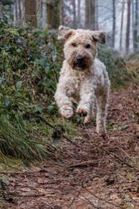 An Excited Wheaten Terrier Running on a Path in the Wood Puppy Dog Pet Journal: 150 Page Lined Notebook/Diary