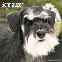 Schnauzer Calendar 2018