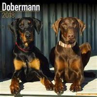Dobermann Calendar 2018