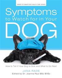Symptoms to Watch for in Your Dog: How to Tell If Your Dog Is Sick and What to Do Next