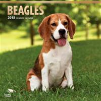 2018 Beagles Wall Calendar