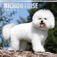 2018 Bichon Frise Wall Calendar