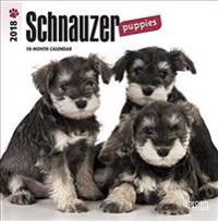 Schnauzer Puppies 2018 Calendar