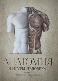 Anatomija figury cheloveka.
