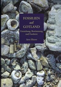 Fossilien auf Gotland. Entstehung, Bestimmung und Fundorte