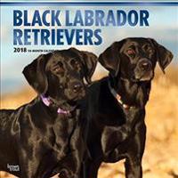 Black Labrador Retrievers 2018 Calendar
