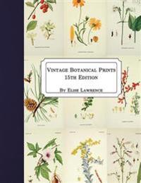 Vintage Botanical Prints: 15th Edition