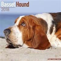 Basset Hound Calendar 2018