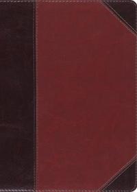 ESV MacArthur Study Bible (Trutone, Brown/Cordovan, Portfolio Design)