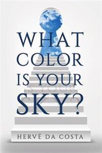 What Color Is Your Sky?: Seven Steps to Create a Future Beyond Your Dreams