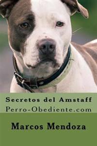 Secretos del Amstaff: Perro-Obediente.com